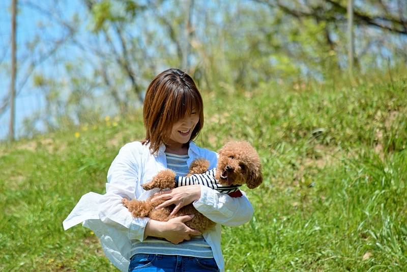 犬とって危険な仰向けの抱っこはしないほうがよい