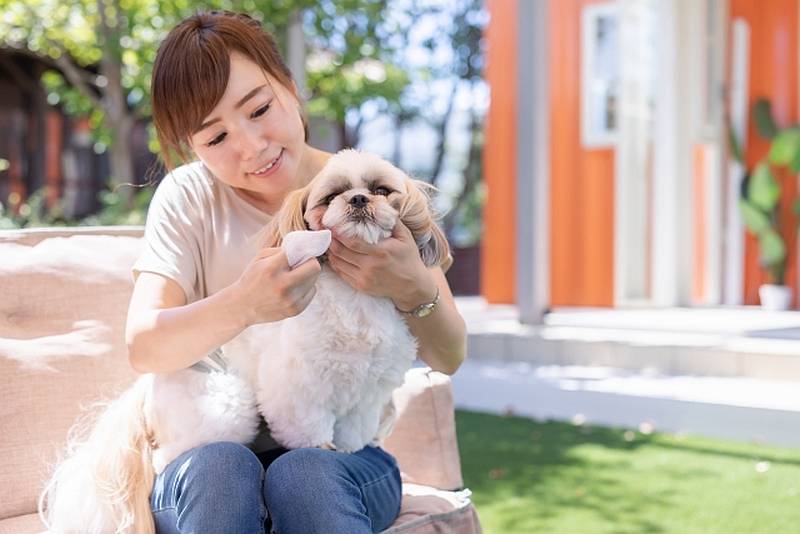 犬のお世話は犬にとって嫌と感じることも多い